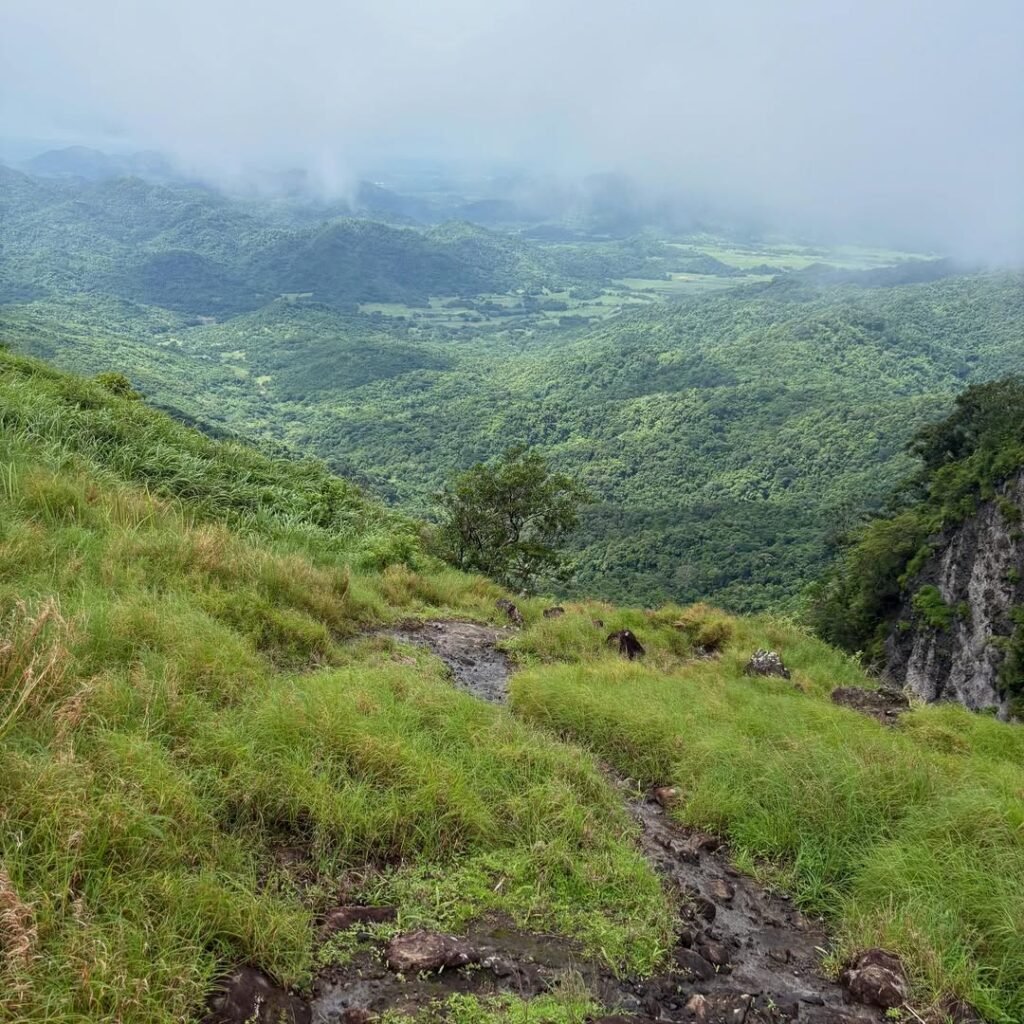 Mt. Pico De Loro Photo