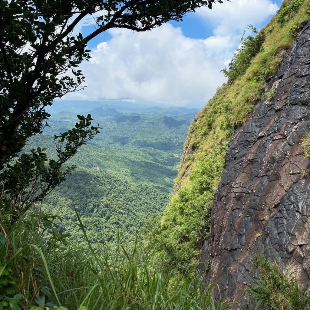 Final Verdict: Should You Climb Mt. Pico De Loro? 5 out of 5 for first-time and intermediate hikers near Manila. Mt. Pico De Loro is the rare mountain that delivers a genuine summit moment, protected wildlife, dramatic views, and a well-managed trail system — all within a half-day from Metro Manila. The registration process demands planning, but that planning is exactly what makes the experience so good once you're on the trail: quiet, clean, and worth every step of that staircase.