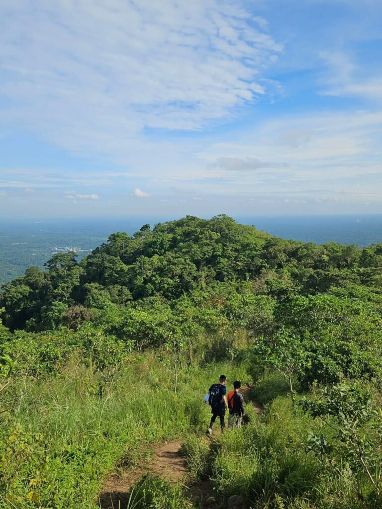 Narrow dirt trail through shoulder-height cogon grass on the Mt. Apayang ridgeline in Nasugbu, Batangas