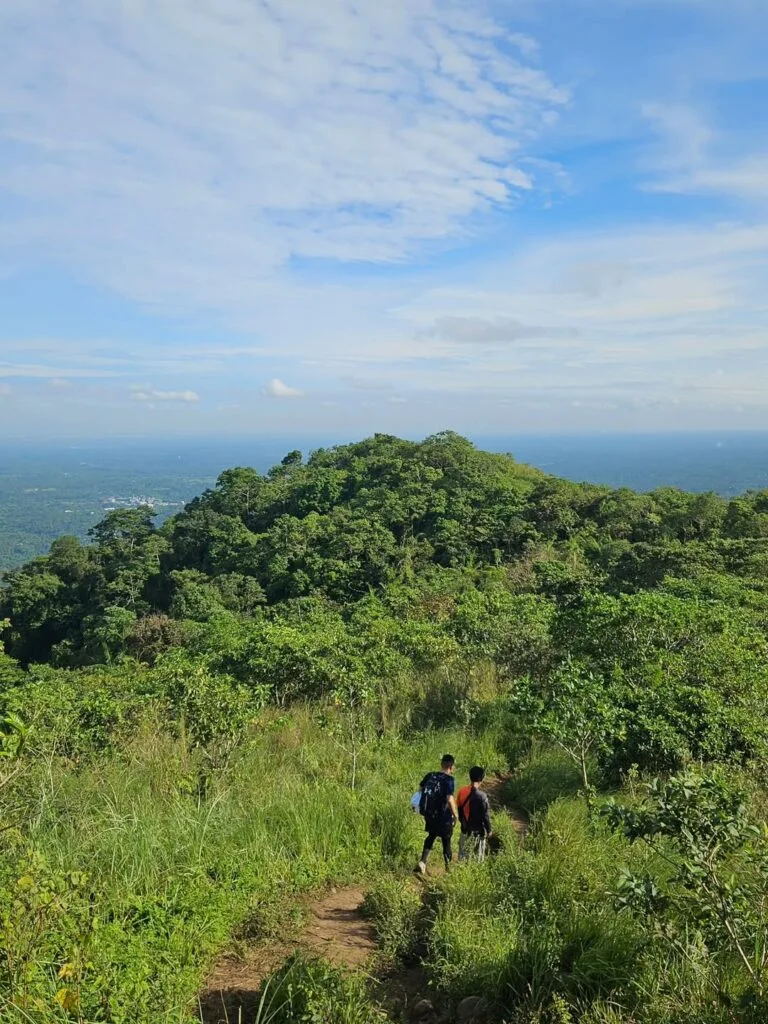 Narrow dirt trail through shoulder-height cogon grass on the Mt. Apayang ridgeline in Nasugbu, Batangas