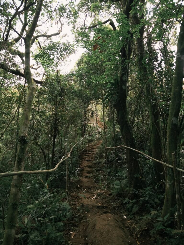 mt. sembrano photo 2026