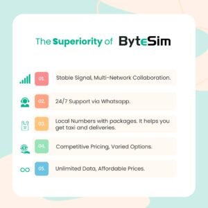 Bytesim review