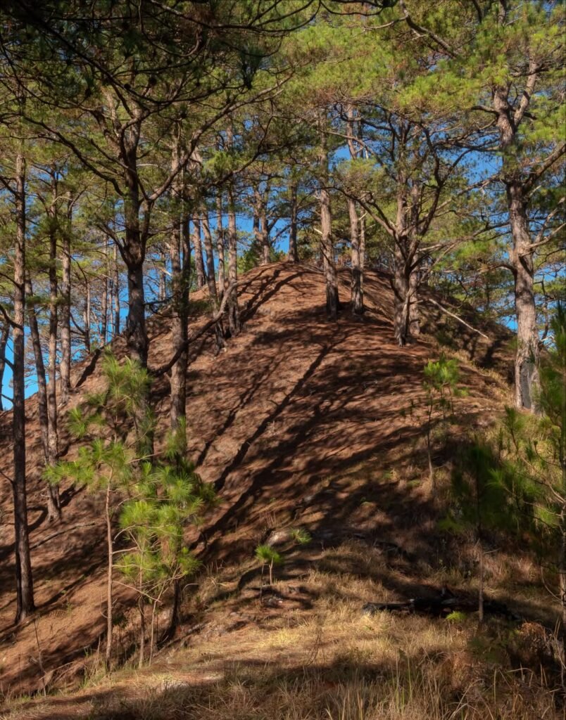 Hiker walking the exposed laterite ridge trail on Mt. Kotkot in Itogon, Benguet, with rolling hills in the background
