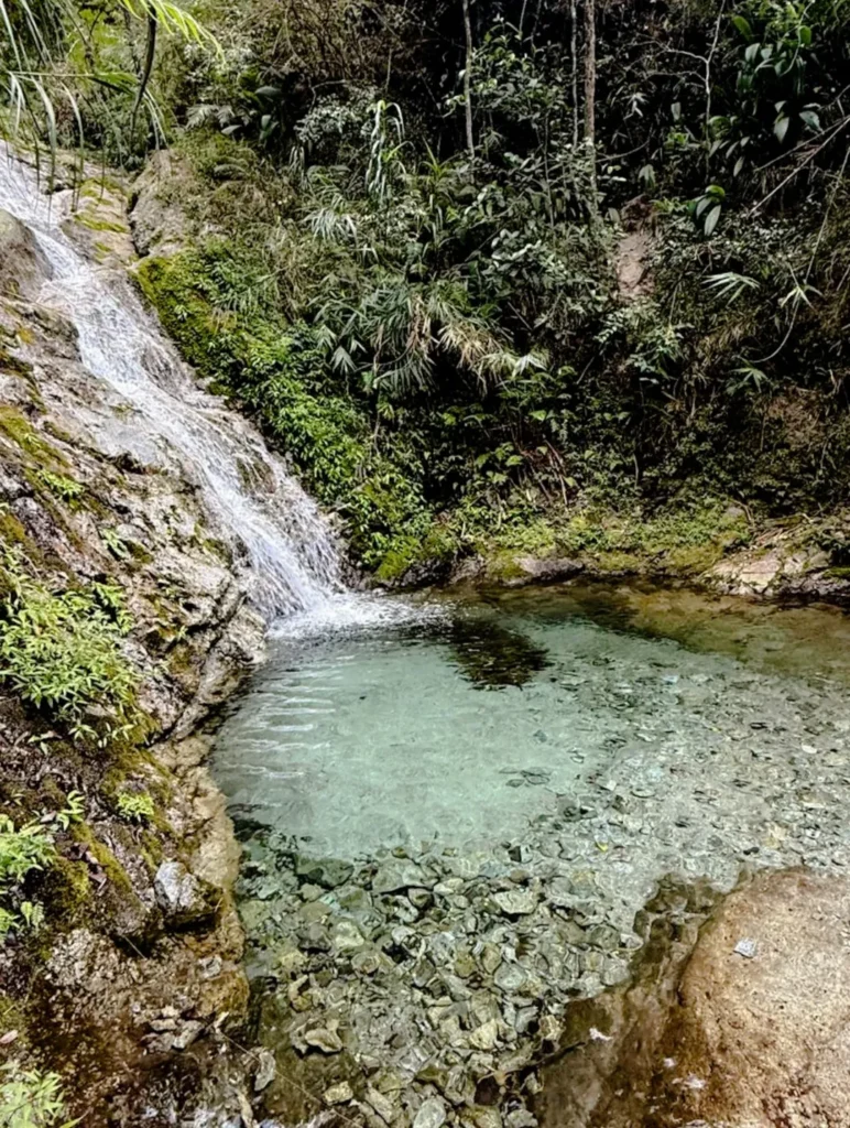 Small waterfall feeding a clear natural pool in the forest near Mt. Kotkot, Benguet”