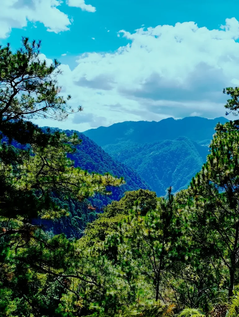 Mountain ridges view framed by pine trees on Mt. Kotkot, Itogon Benguet
