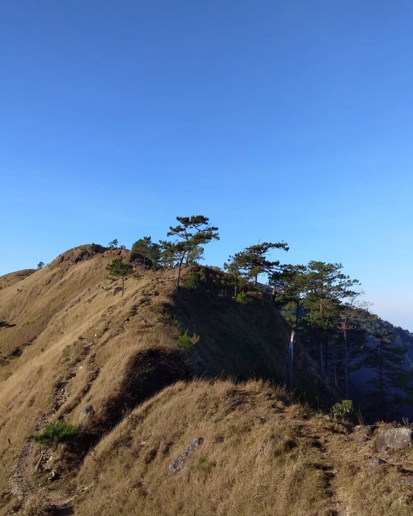 Open grassland campsite near the Mt. Ulap summit with tents pitched at dawn