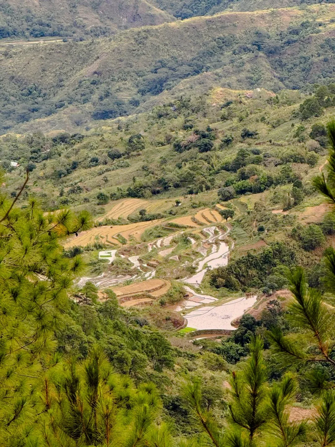Mt. Kimat Patil-ao Photo