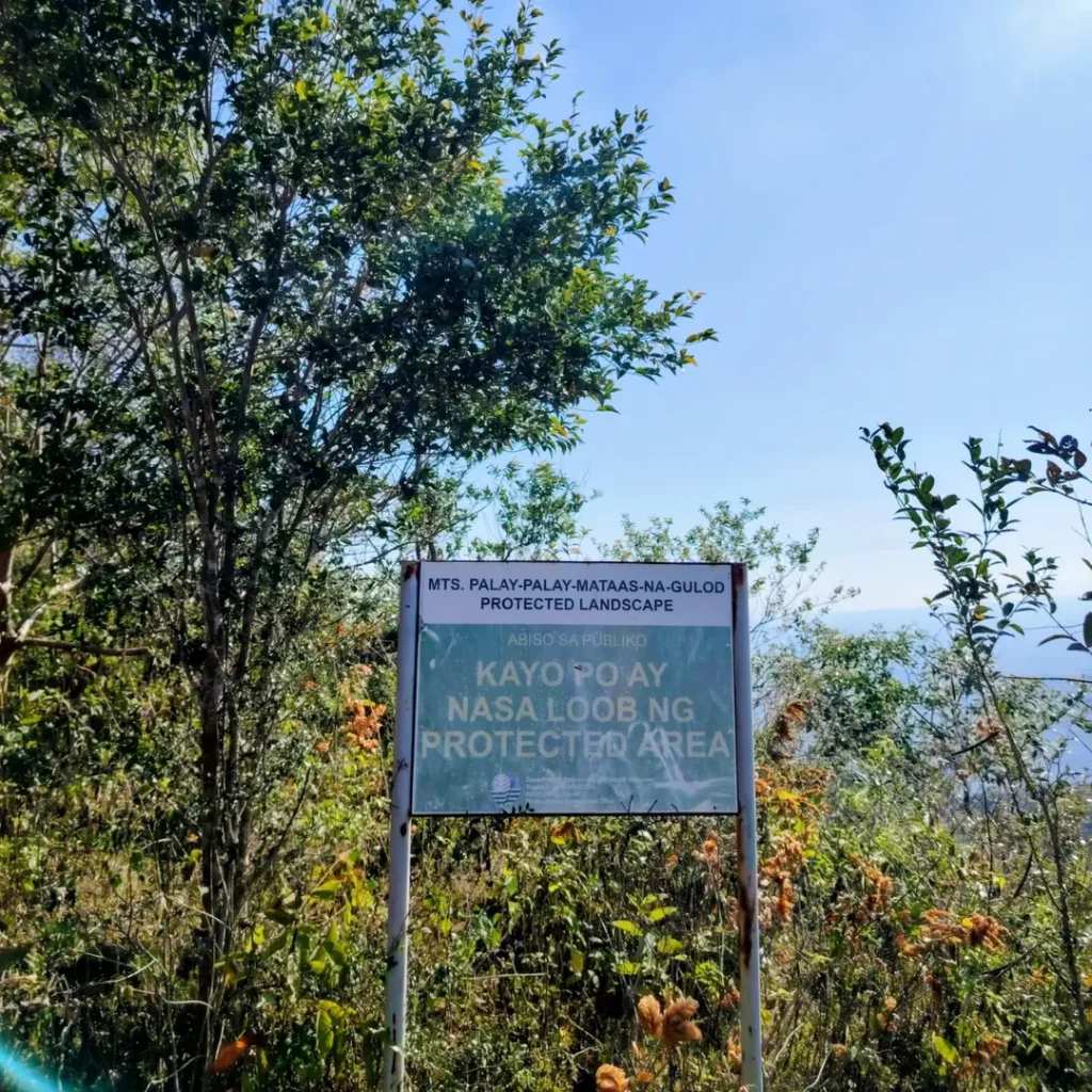 mt. marami trail photo