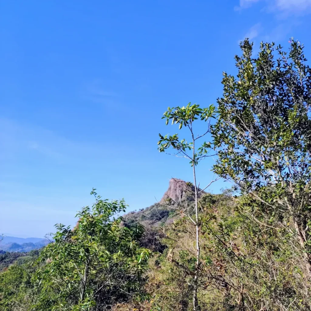 mt. marami trail photo