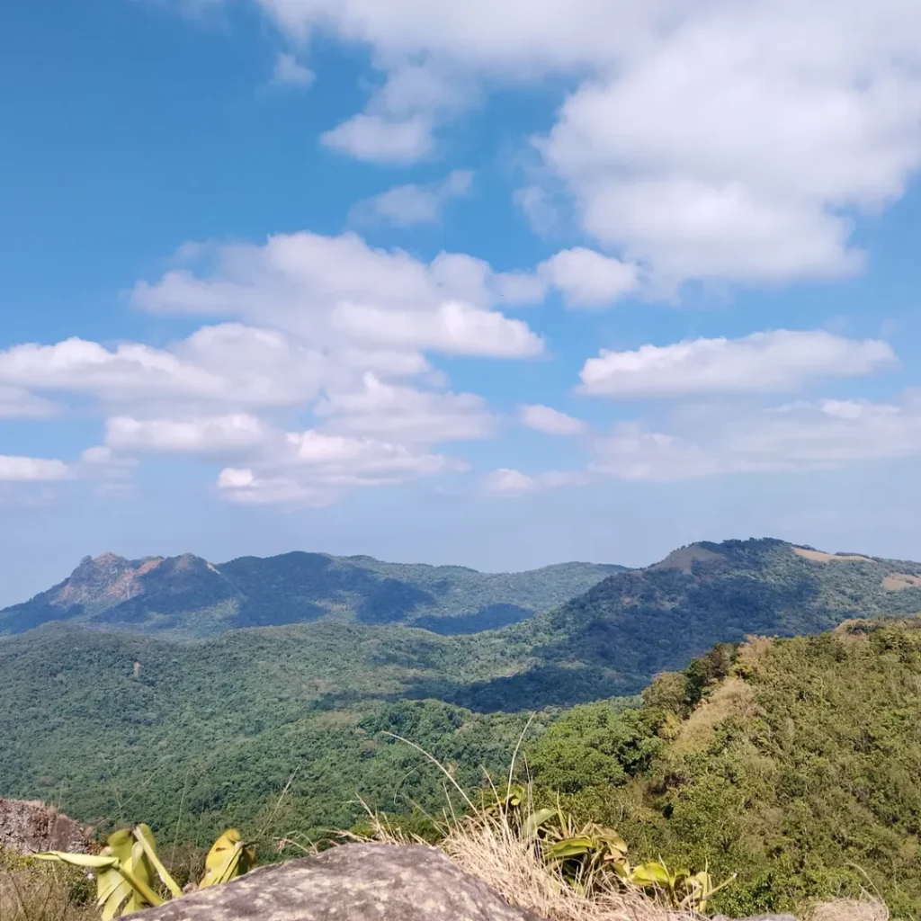 mt. marami trail photo