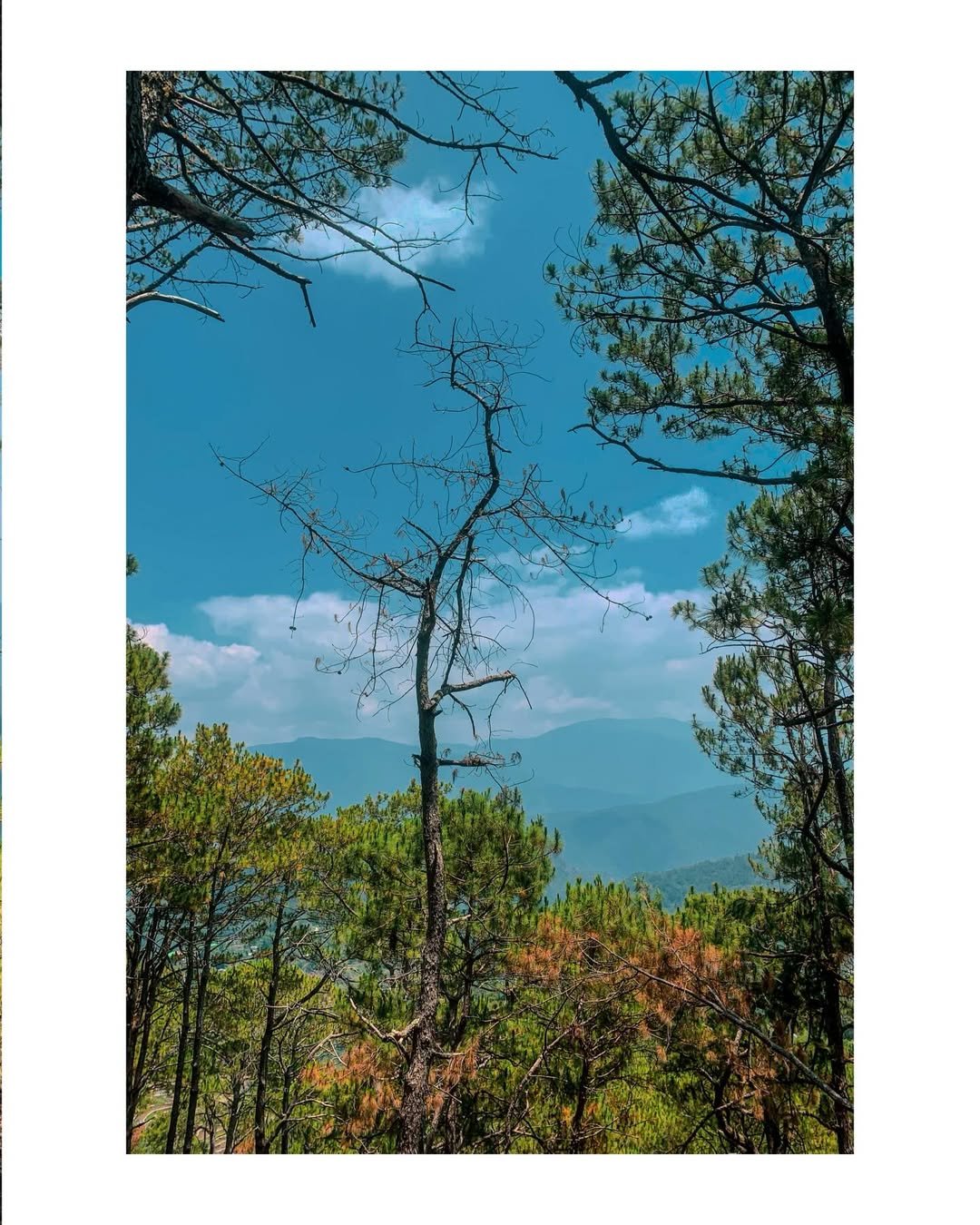 mt. kupapey mt. fato Photos