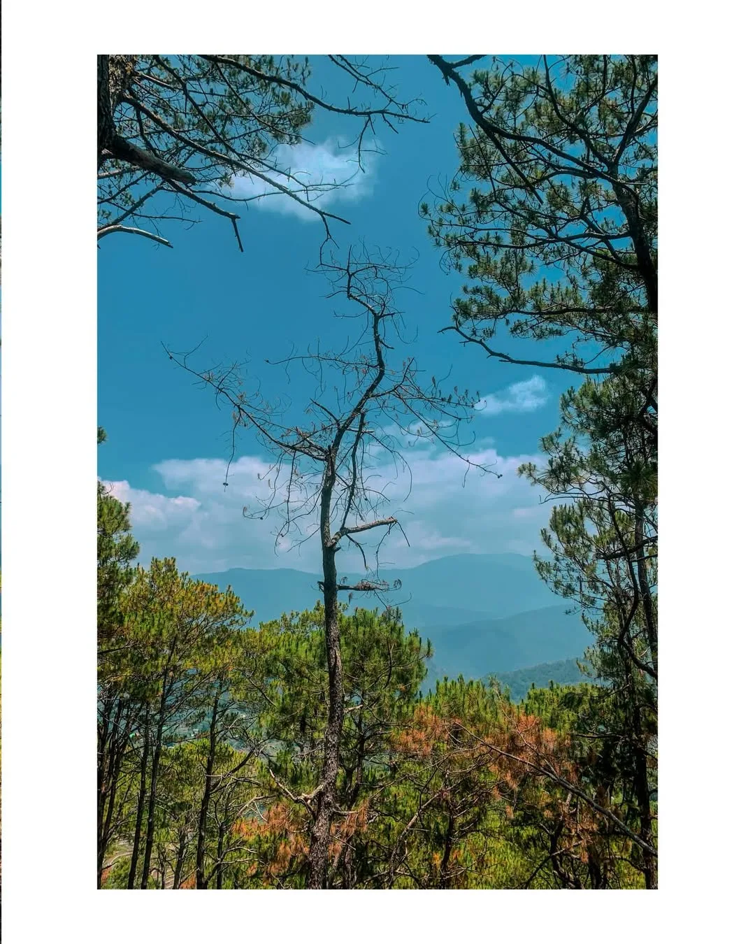 mt. kupapey mt. fato Photos