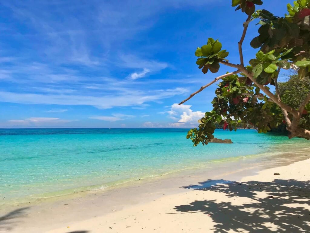 Fine white sand at Gumasa Beach with gentle waves washing the shore and beachgoers relaxing under natural tree shade
