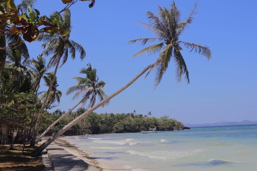 San Jose port and resort buildings on Carabao Island waterfront with outrigger boats docked