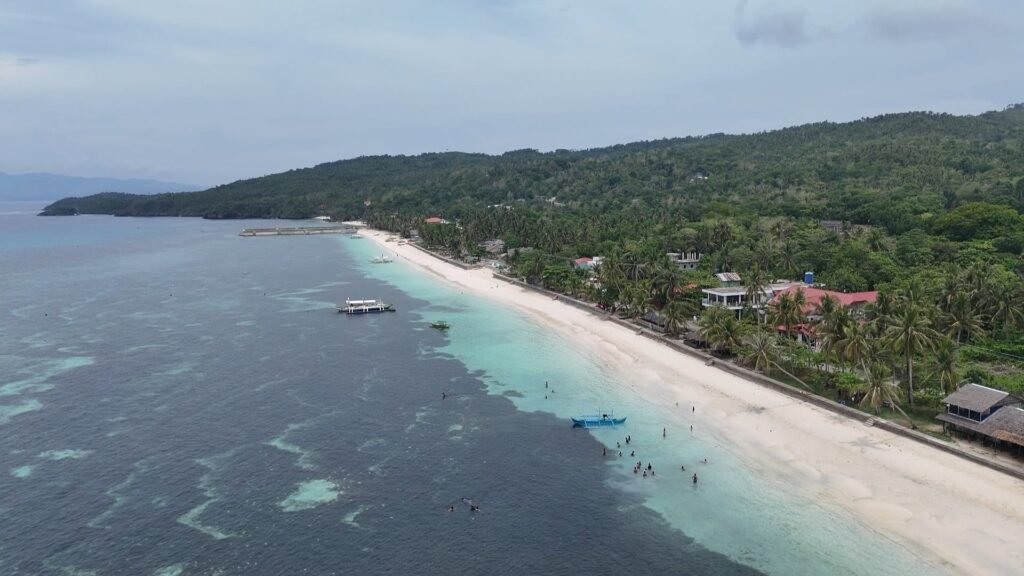 White sand beach on Carabao Island's eastern coast with leaning coconut trees and calm shallow water