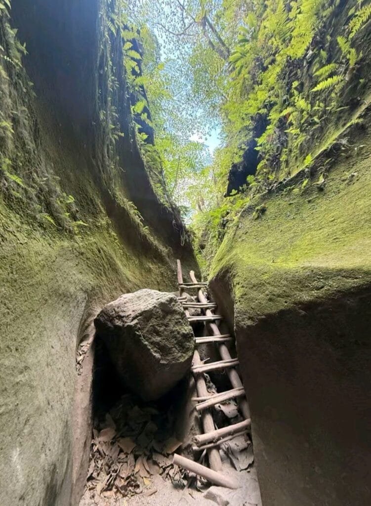 Tutulari Avatar Gorge Guide: Rates, Tour & Tips 2026