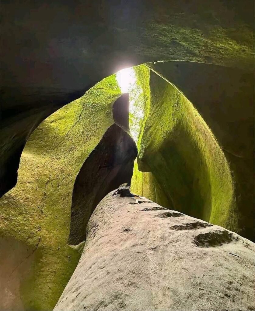 Tutulari Avatar Gorge Guide: Rates, Tour & Tips 2026