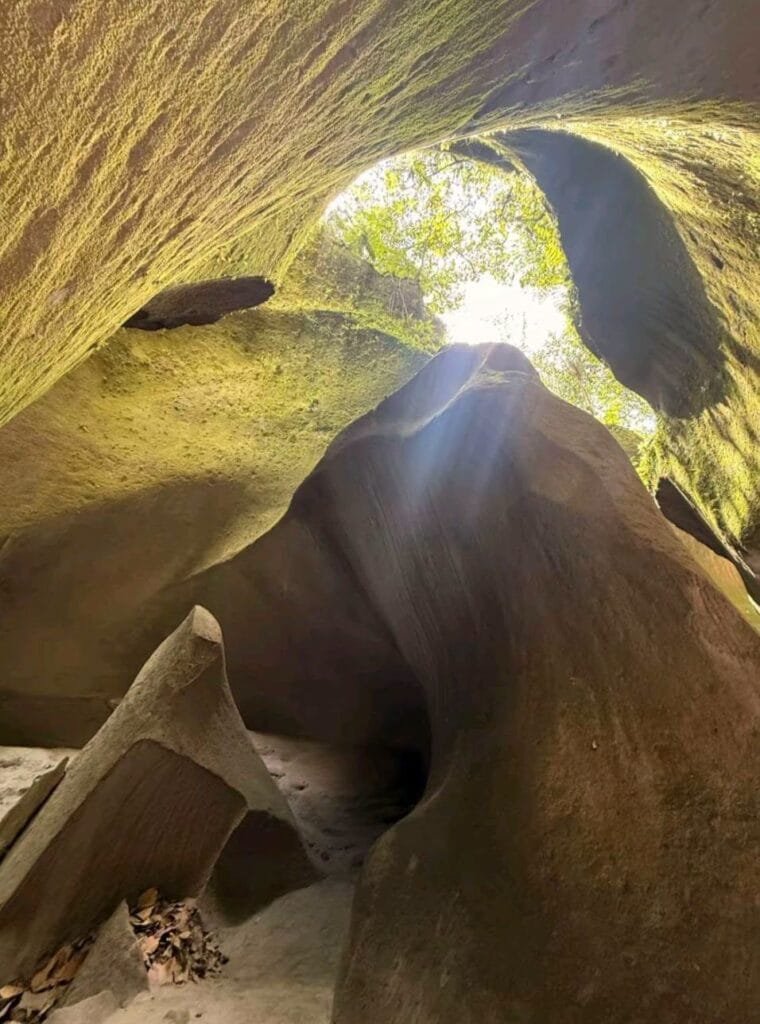 Tutulari Avatar Gorge Guide: Rates, Tour & Tips 2026