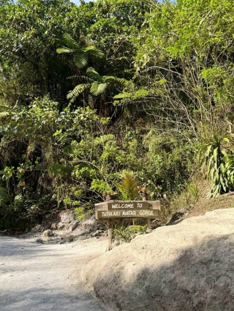 Tutulari Avatar Gorge Guide: Rates, Tour & Tips 2026