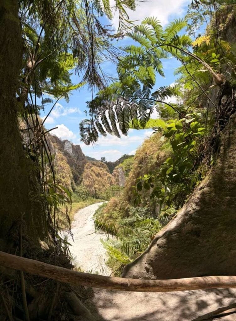 Tutulari Avatar Gorge Guide: Rates, Tour & Tips 2026