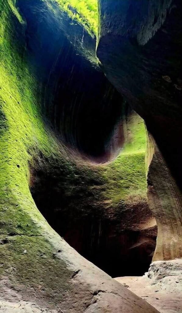 Tutulari Avatar Gorge Guide: Rates, Tour & Tips 2026