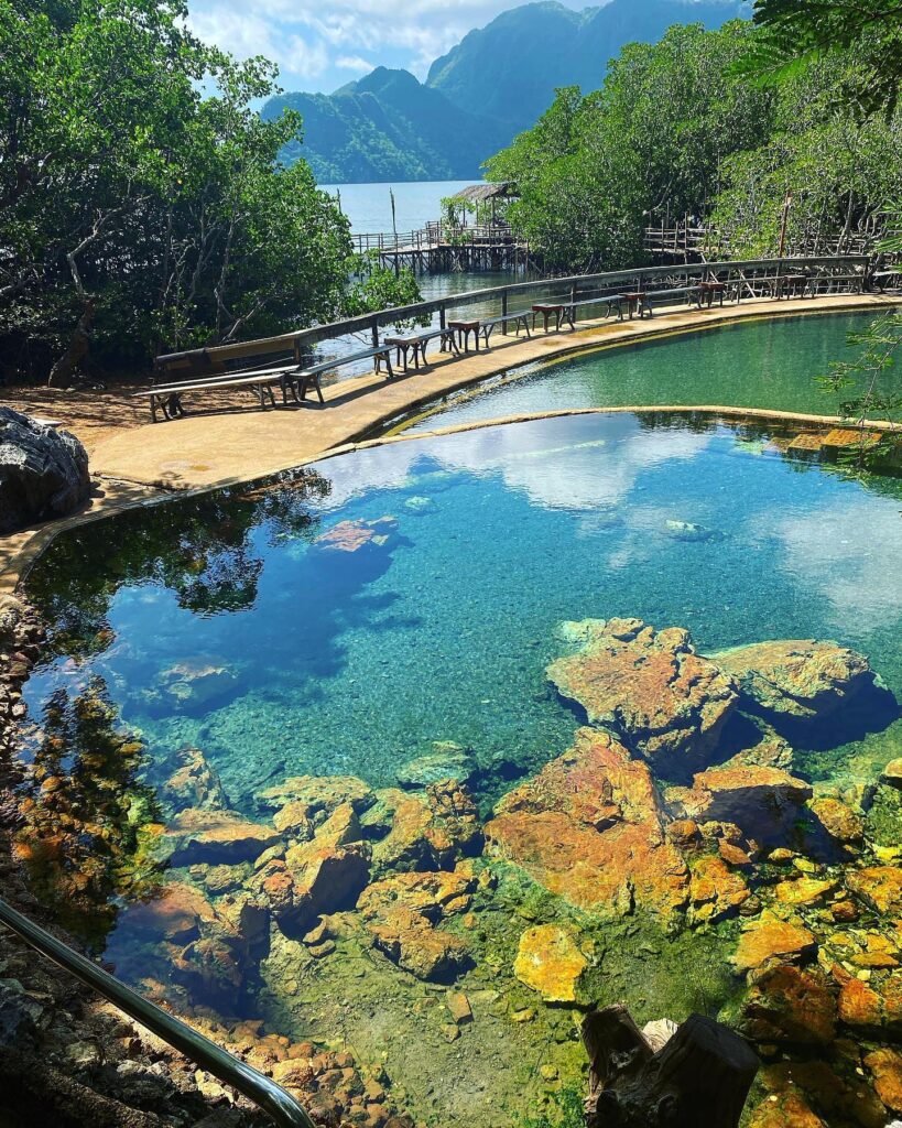 Steaming saltwater pools at Maquinit Hot Springs surrounded by dense mangrove trees at dusk, Busuanga Island, Palawan