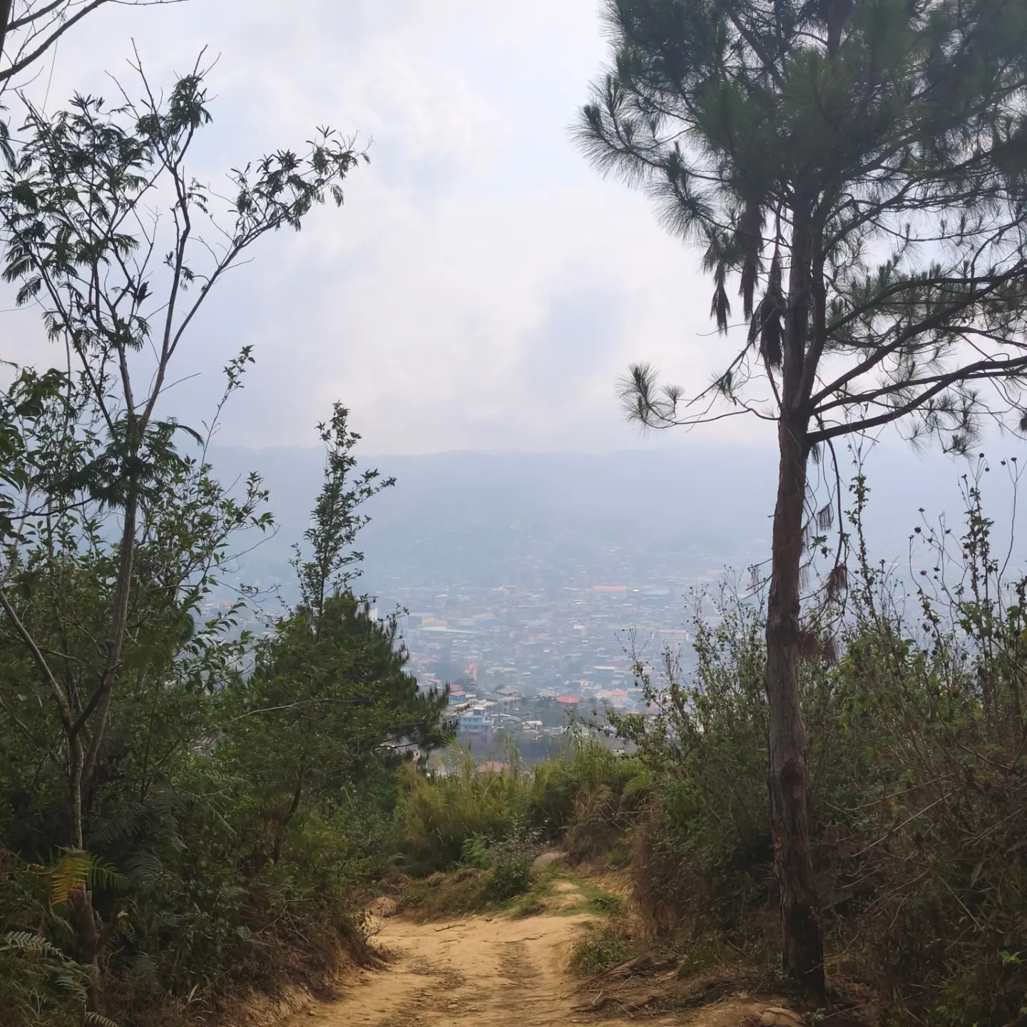 Steep cemented road trail at the start of the Mt. Yangbew hiking trail in Barangay Tawang La Trinidad