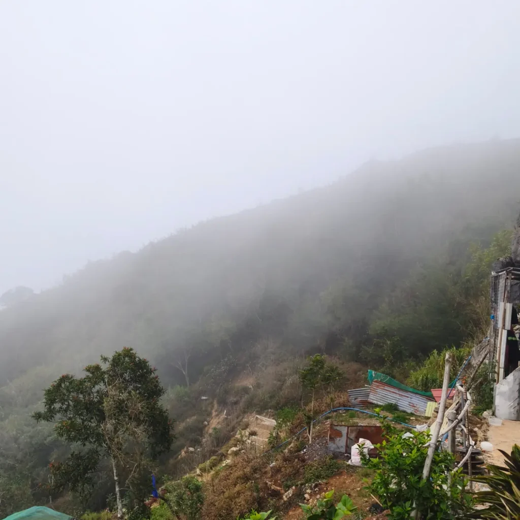 Flat grassy campsite area on Mt. Yangbew summit with tent pitched and city lights visible below at dusk