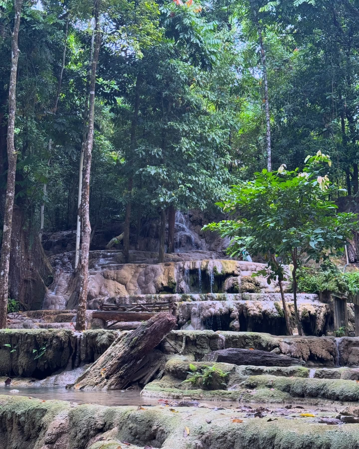 Aruyan Falls water terrace cascades flowing over stepped limestone rock into a wide jungle pool in Sablayan