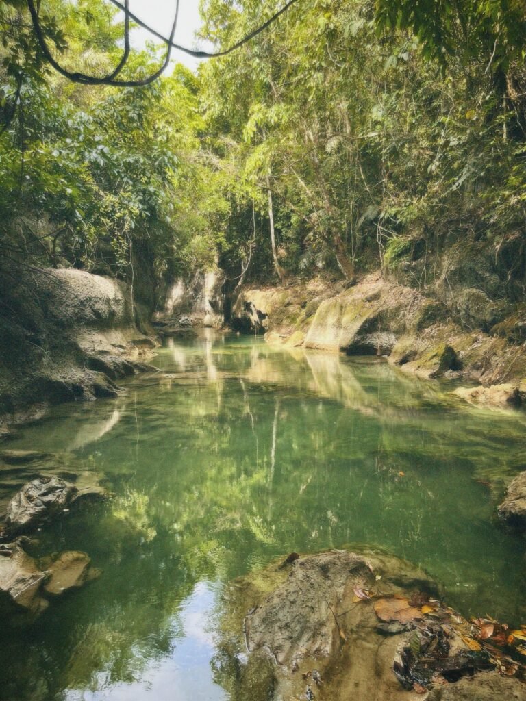 Steep limestone canyon walls flanking the Quipia River gorge below the Jovellar Underground River complex