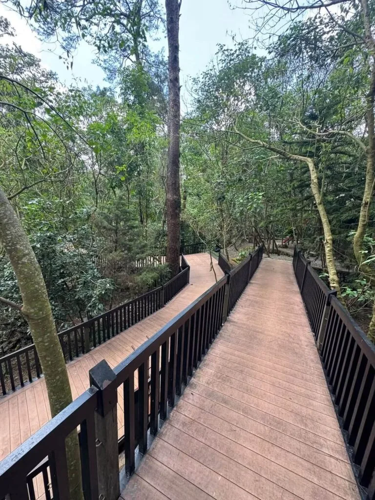 Baguio Arboretum Gallery Photo 2026