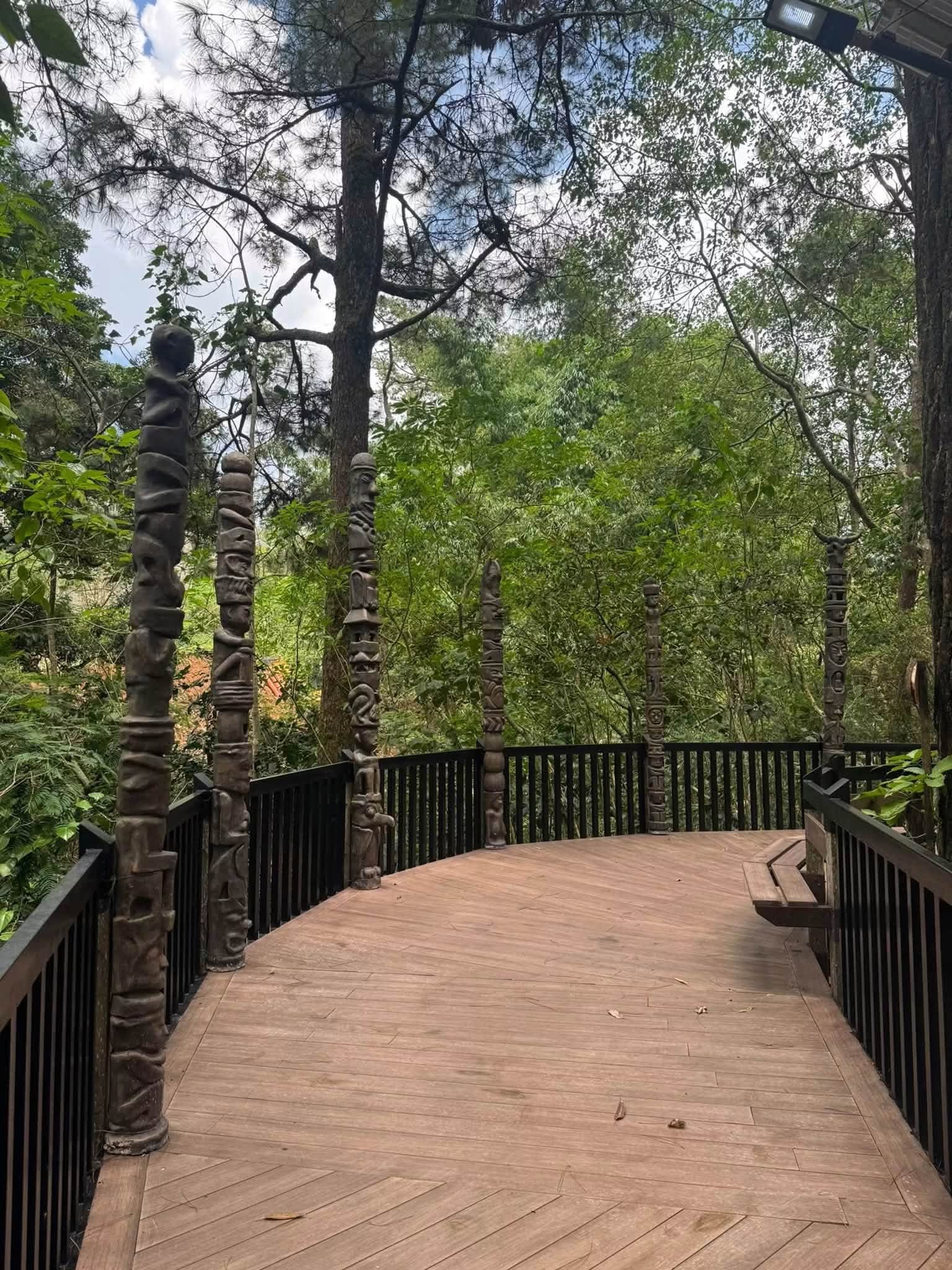 Baguio Arboretum Gallery Photo 2026