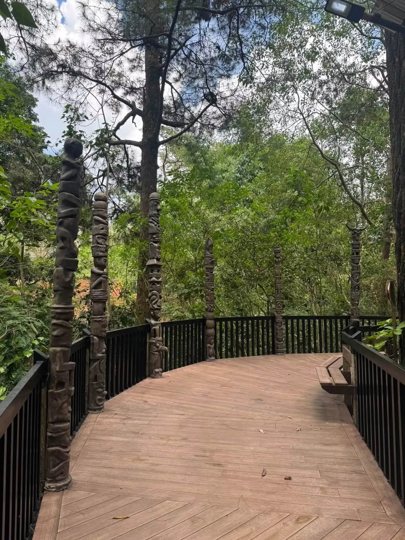 Baguio Arboretum Gallery Photo 2026
