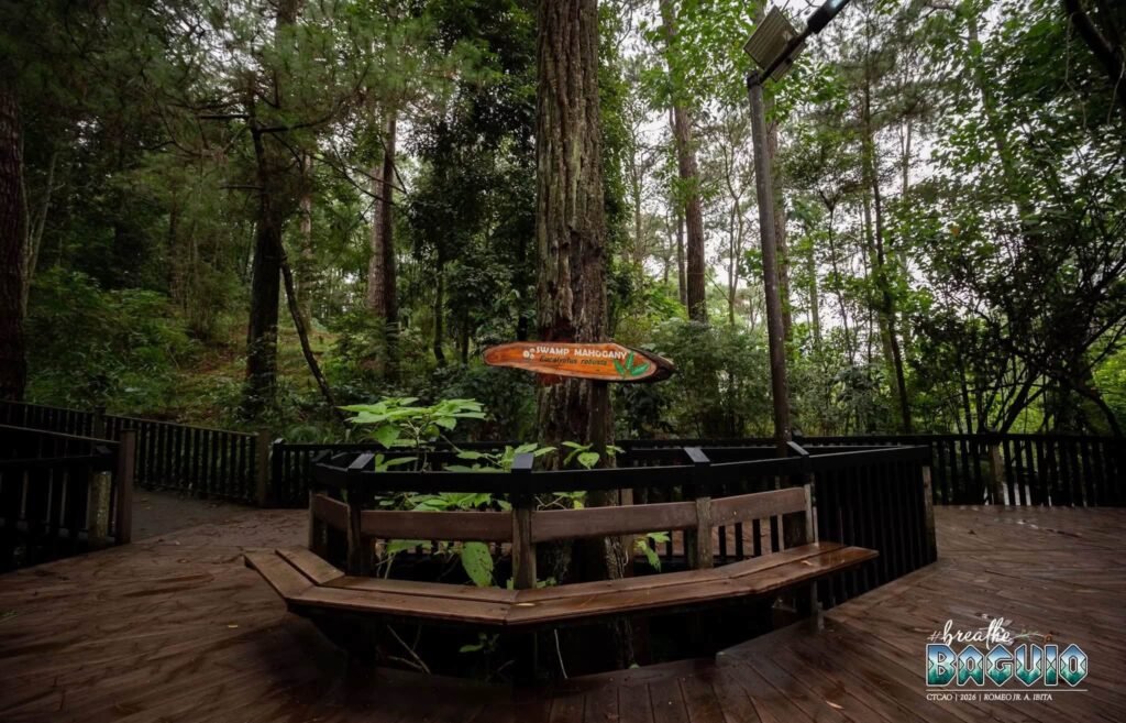 Baguio Arboretum Gallery Photo 2026