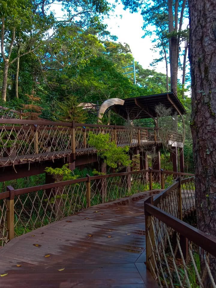 Baguio Arboretum Gallery Photo 2026